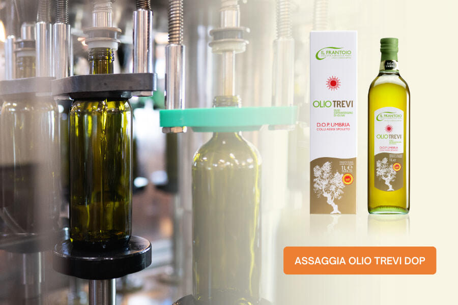 Olio EVO Trevi DOP Umbria