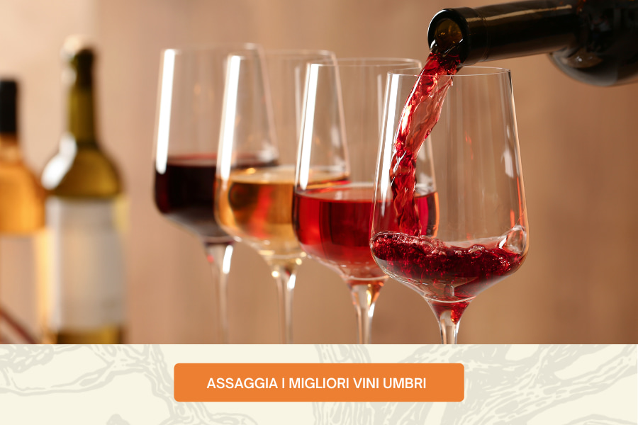Assaggia i migliori vini umbri selezionati da Olio Trevi