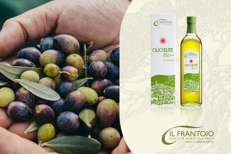 Dove acquistare olio umbro di qualità? Olio Elite
