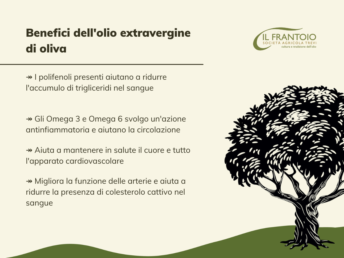 Olio extravergine di oliva: benefici e usi