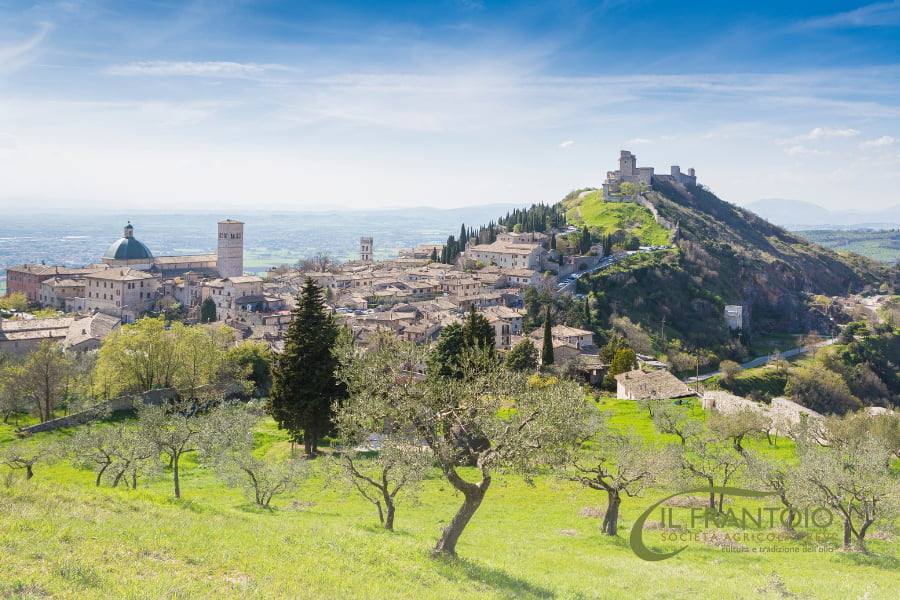 Itinerario sentiero degli ulivi: arrivo ad Assisi