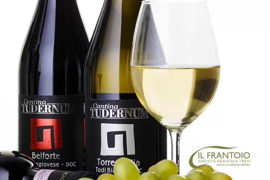 Vino umbro da regalare: vino bianco Torrecandia Bianco di todi