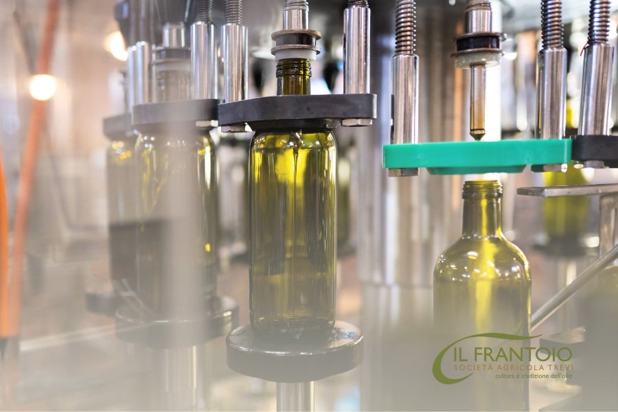 travasare olio extravergine di oliva