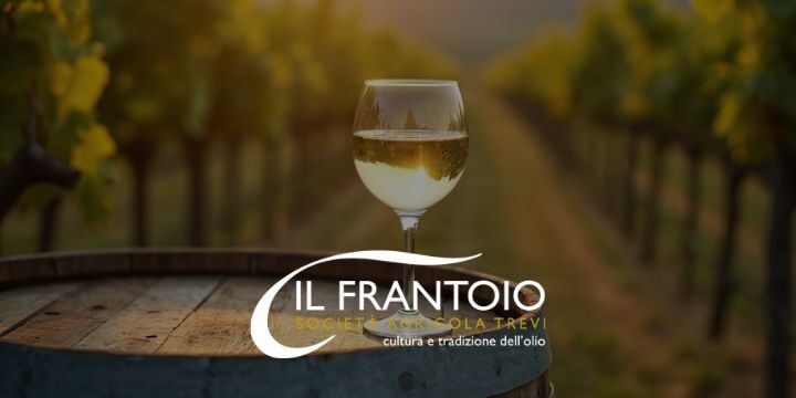 Cosa è l'IGT e perché è fondamentale per riconoscere il vino
