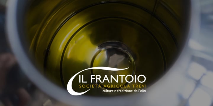 Guida completa all'olio extravergine di oliva italiano