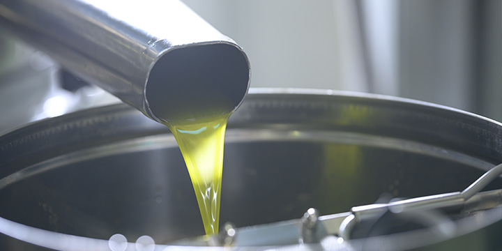 Olio extravergine di oliva: tutto ciò che non ti hanno detto