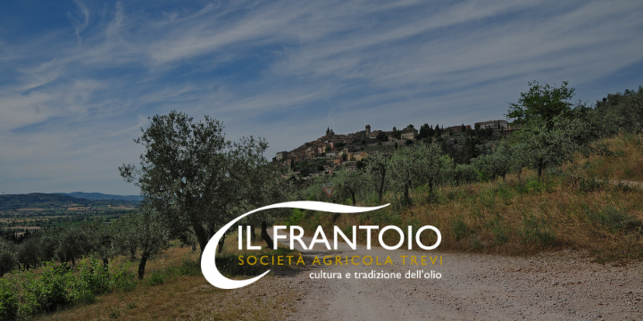 Il sentiero degli ulivi: l’itinerario da Spoleto ad Assisi