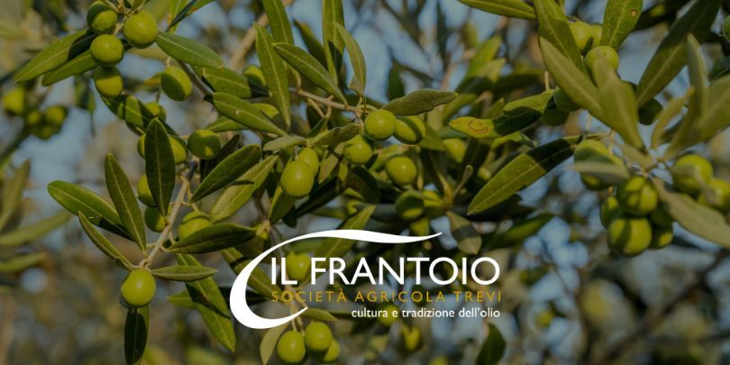 Perché scegliere l'olio umbro in cucina?