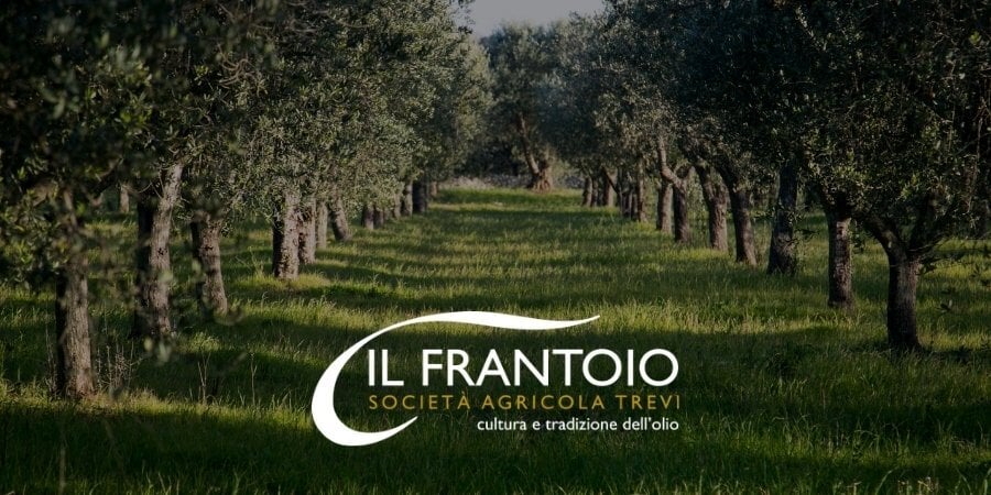 In quale città umbra si produce il miglior olio EVO?